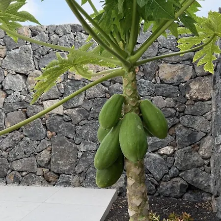 Seno Donato Lomo La Santa Tinajo