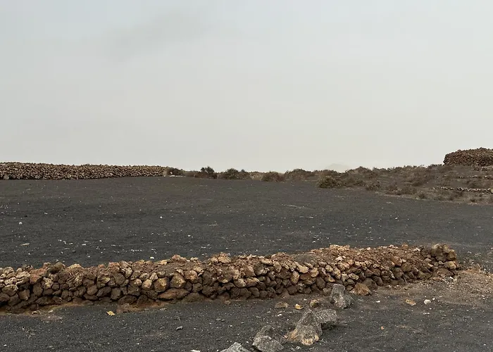 Seno Donato Lomo La Santa * Tinajo