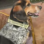 Seno Donato Lomo La Santa *