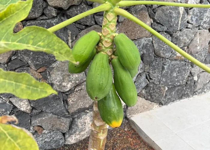 度假居 Seno Donato Lomo La Santa