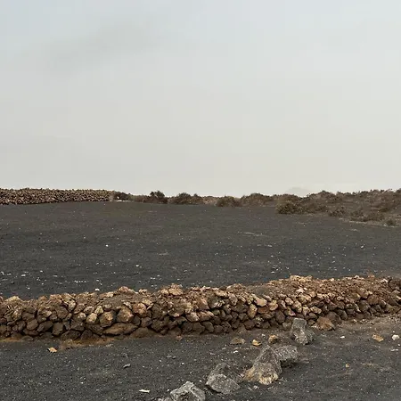 Seno Donato Lomo La Santa * Тинахо