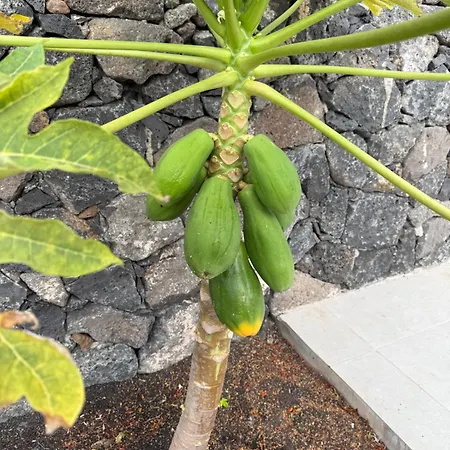 Дом отдыха Seno Donato Lomo La Santa